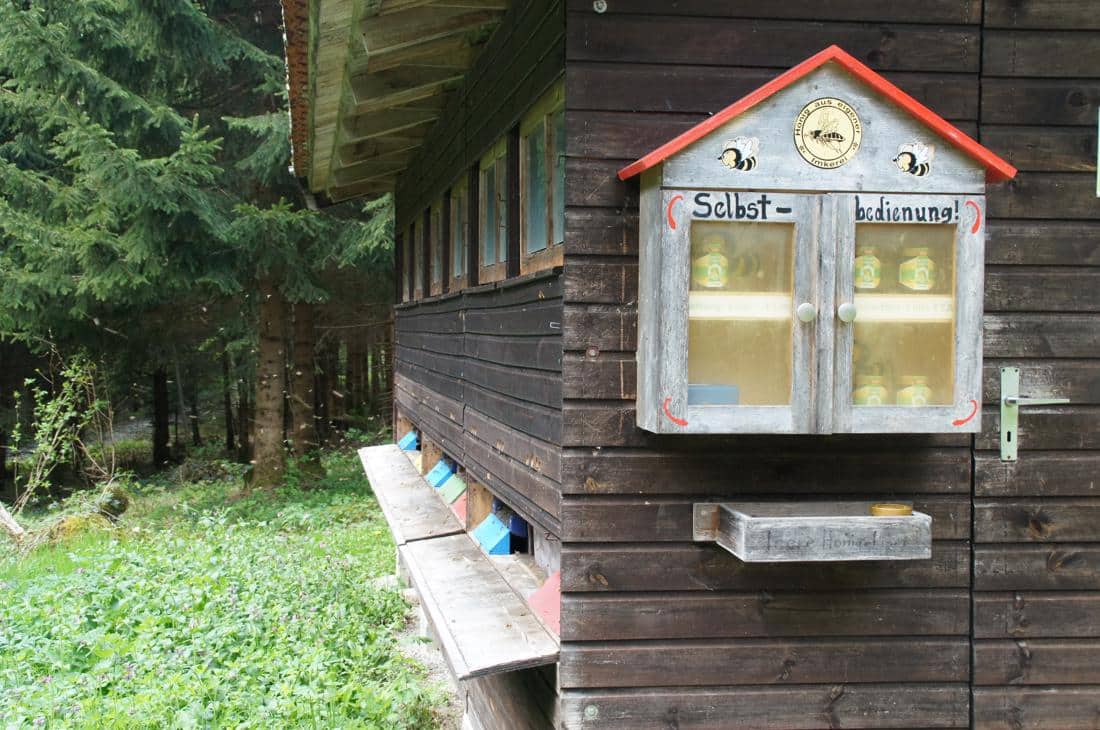 Wanderung Königsdorf - Fischbach - Rothenrainer Moor: Bienenhaus mit Honigverkauf