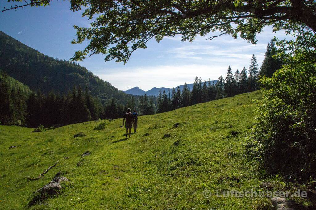 Bauernwand & Sonnwendwand: Almwiesen der Dalsenalm