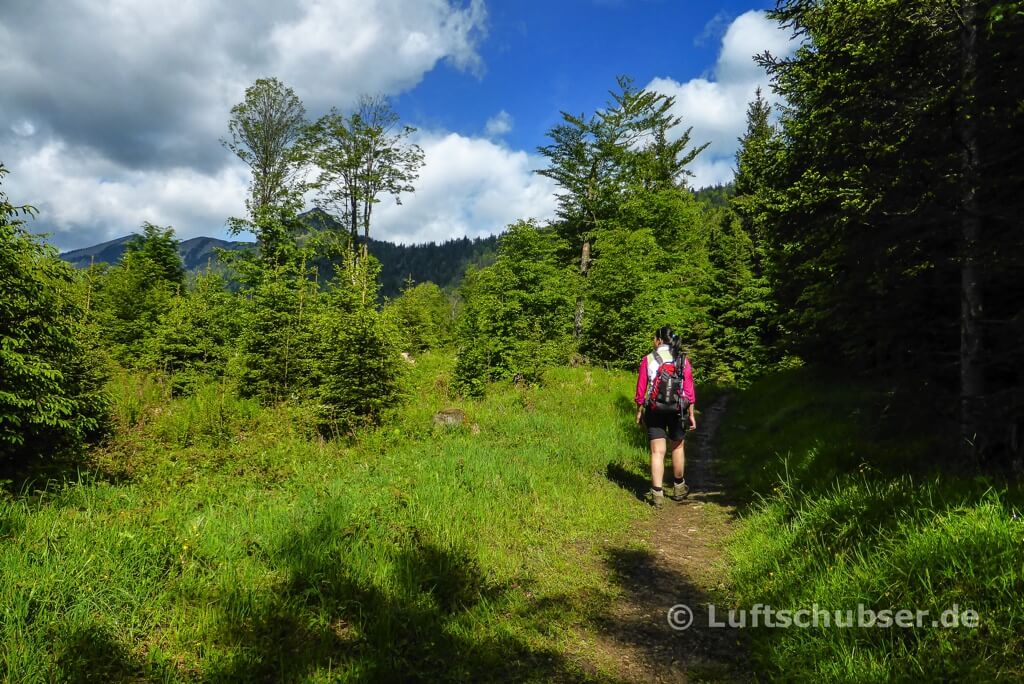 Brünstlkopf: Waldpfad vor dem Grießenbachsattel