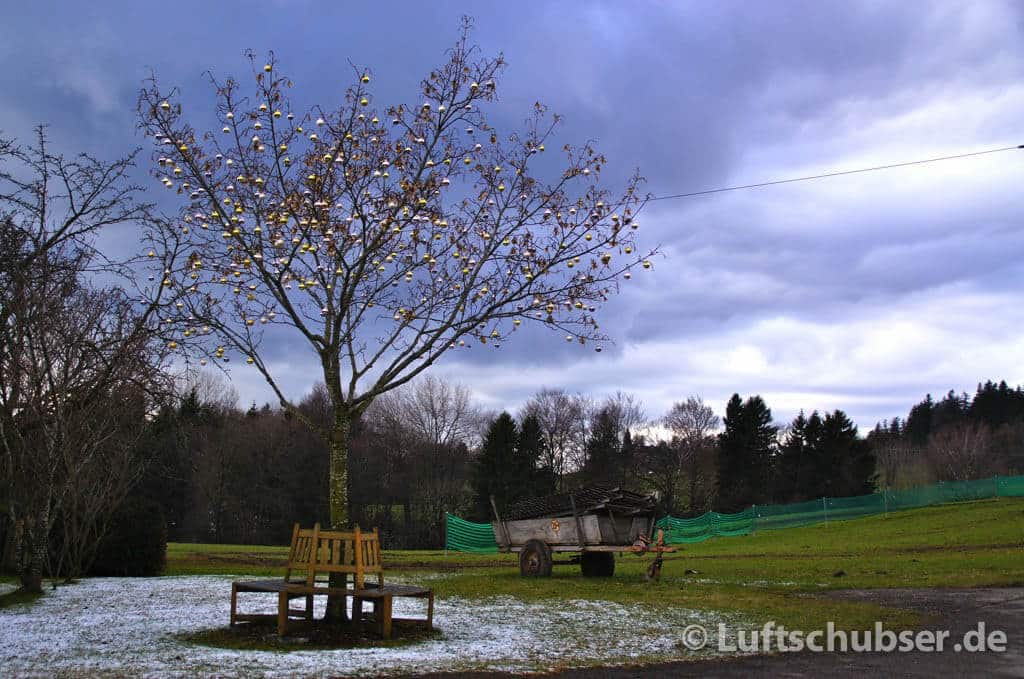 Hohen Peißenberg: Laubbaum mit Christbaumkugeln