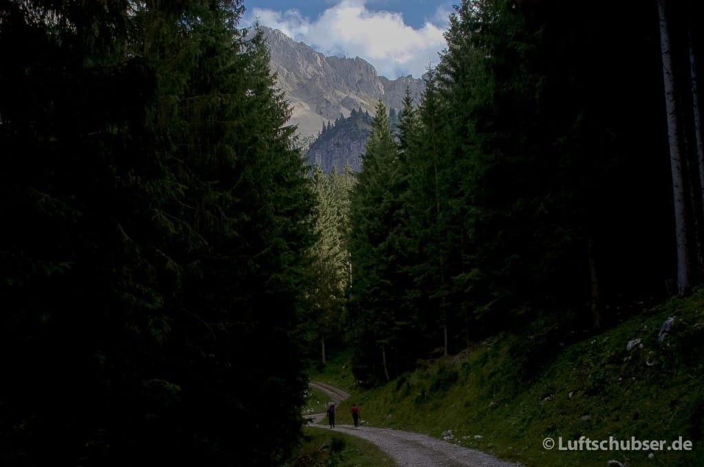 Brentenjoch: Waldweg zur Vilseralm