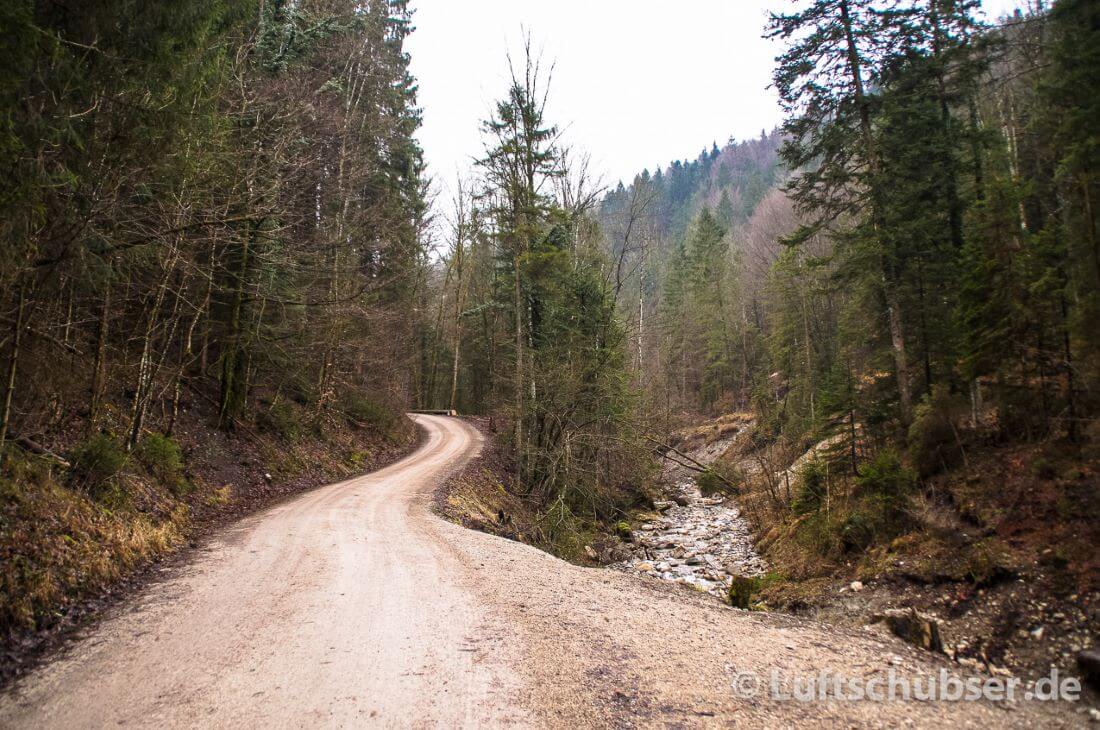 Laubenstein Wanderung: Forstweg