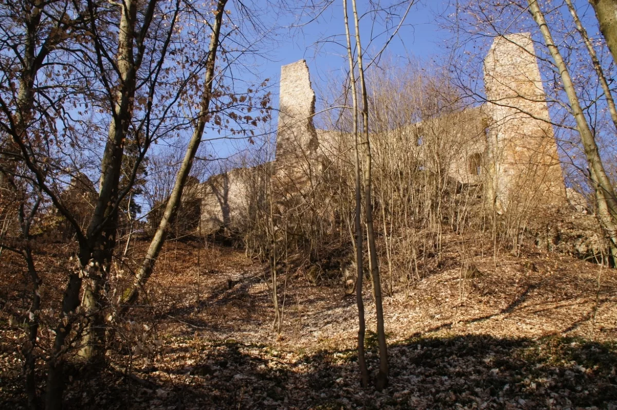 Burg Schwärzenberg: Südseite mit Resten des ehemaligen Wohnturms