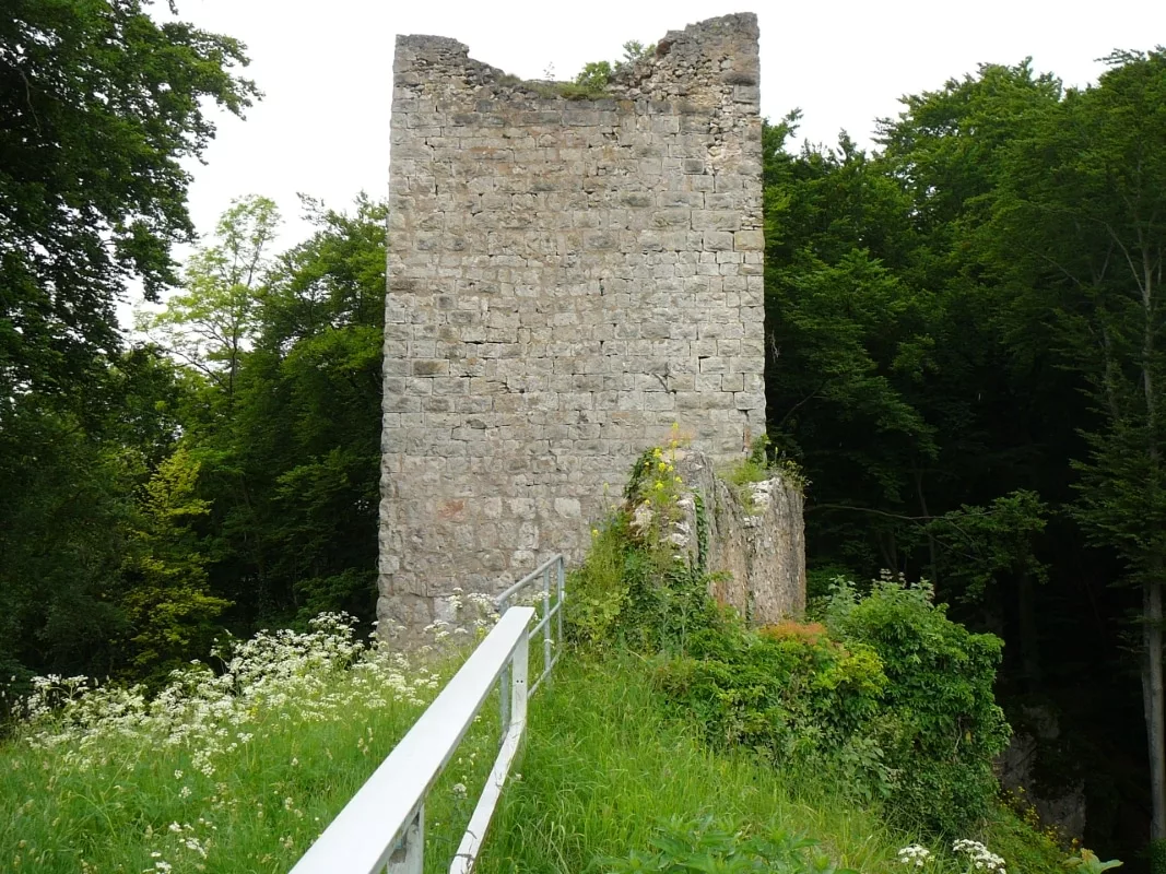 Burg Tachenstein: Reste Bergfried und Ringmauer - Ostansicht