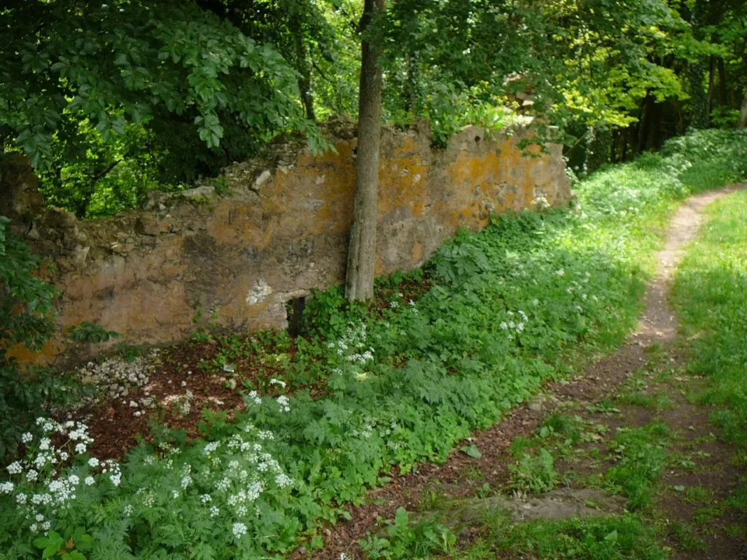 Burg Tachenstein: Reste der Ringmauer an der Westseite