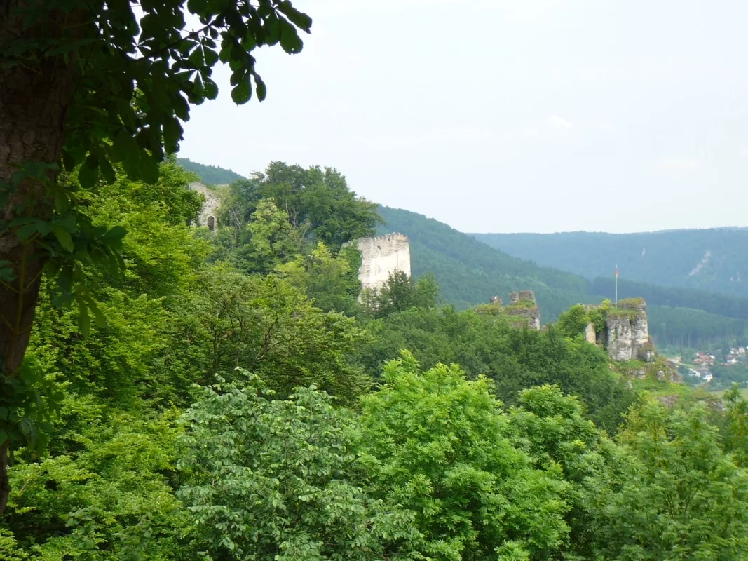 Burg Tachenstein: Blick zur Burg Tachenstein und ihre Burgfelsen
