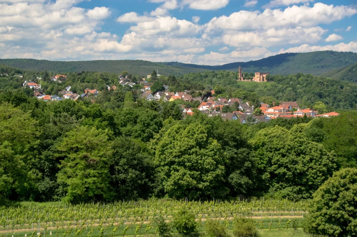 Burgruine Hardenburg wandern: Ausblick vom Flaggenturm zum Kloster Limburg
