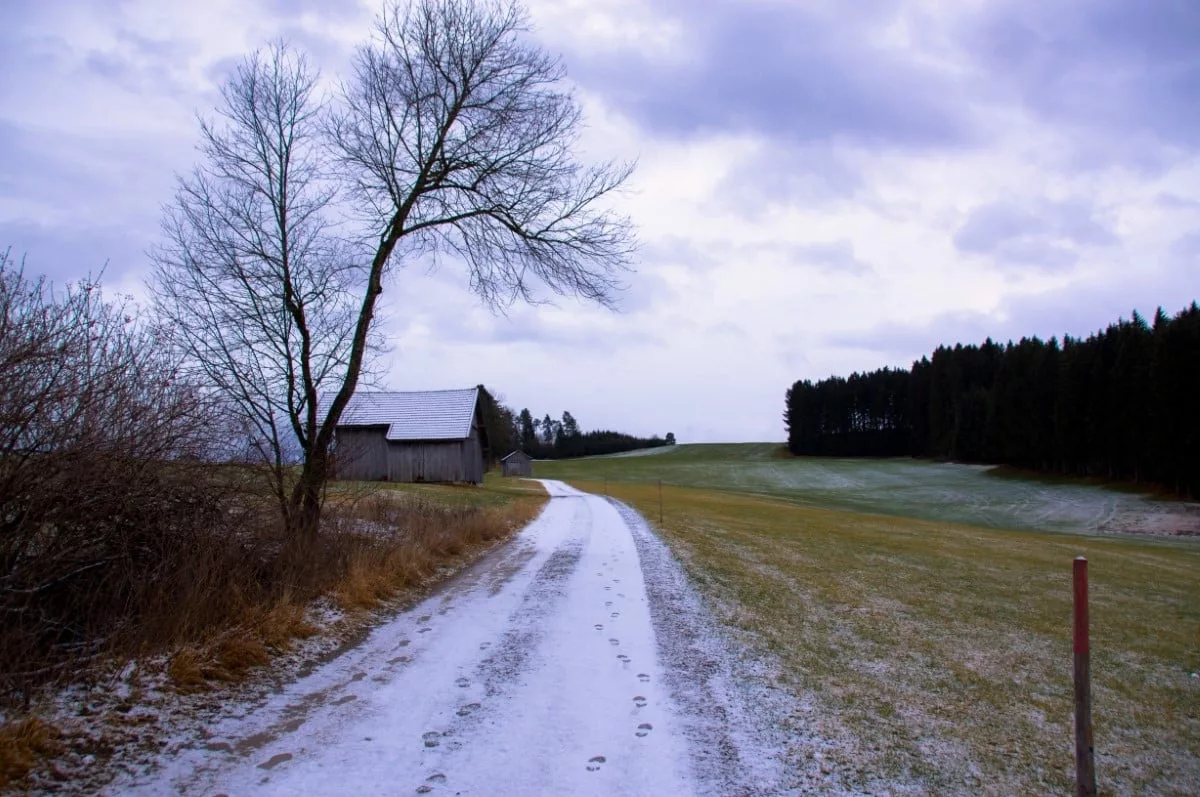 Am Hopfensee wandern: Winterlicher Feldweg