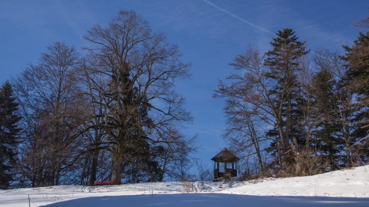 Burg Rettenberg wandern: Aussichtspavillion mit der großen Friedenslinde