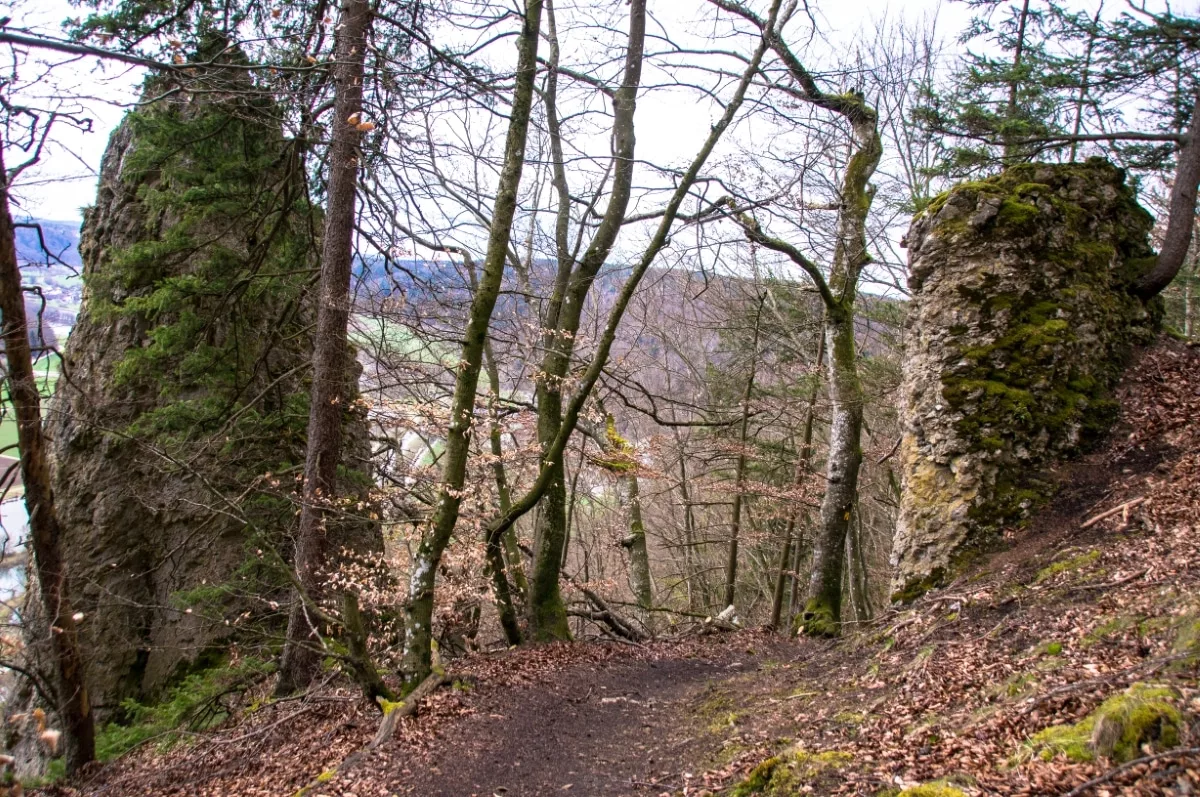 Riedenburg wandern: Abstieg ins Altmühltal