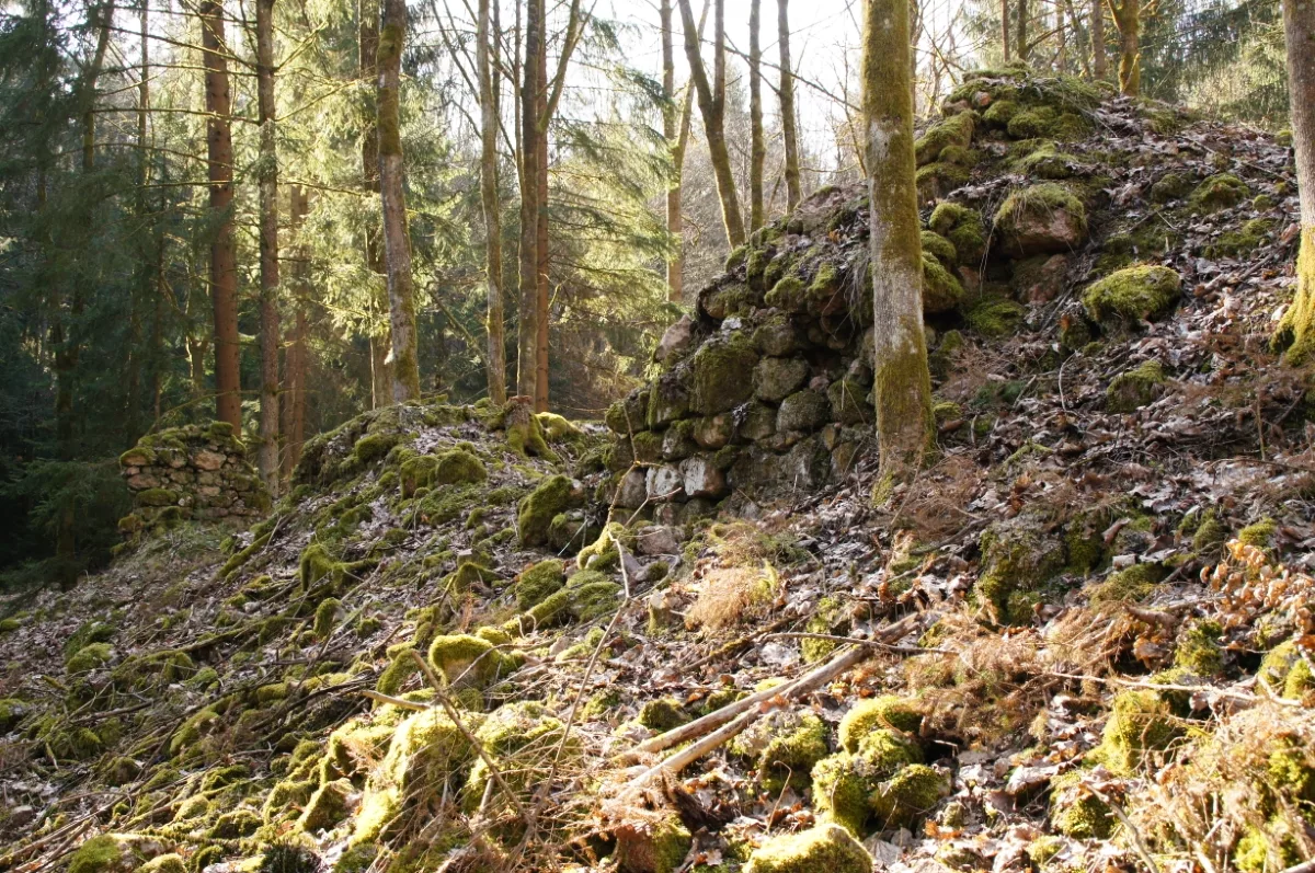 Ruine Schellerlhof: letzte Maurerreste der Nordseite