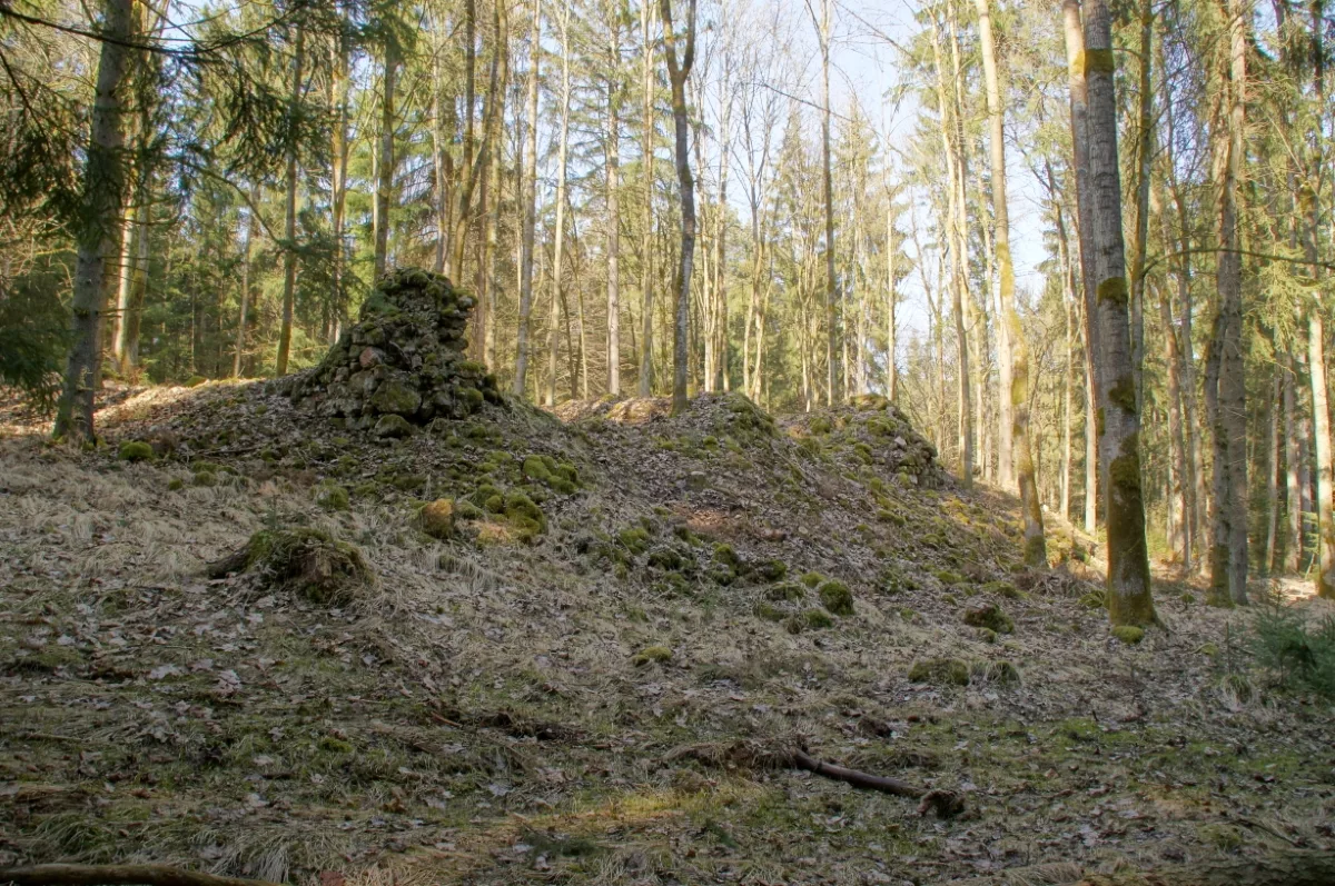 Ruine Schellerlhof: Blick auf die Mauerreste von Nordosten