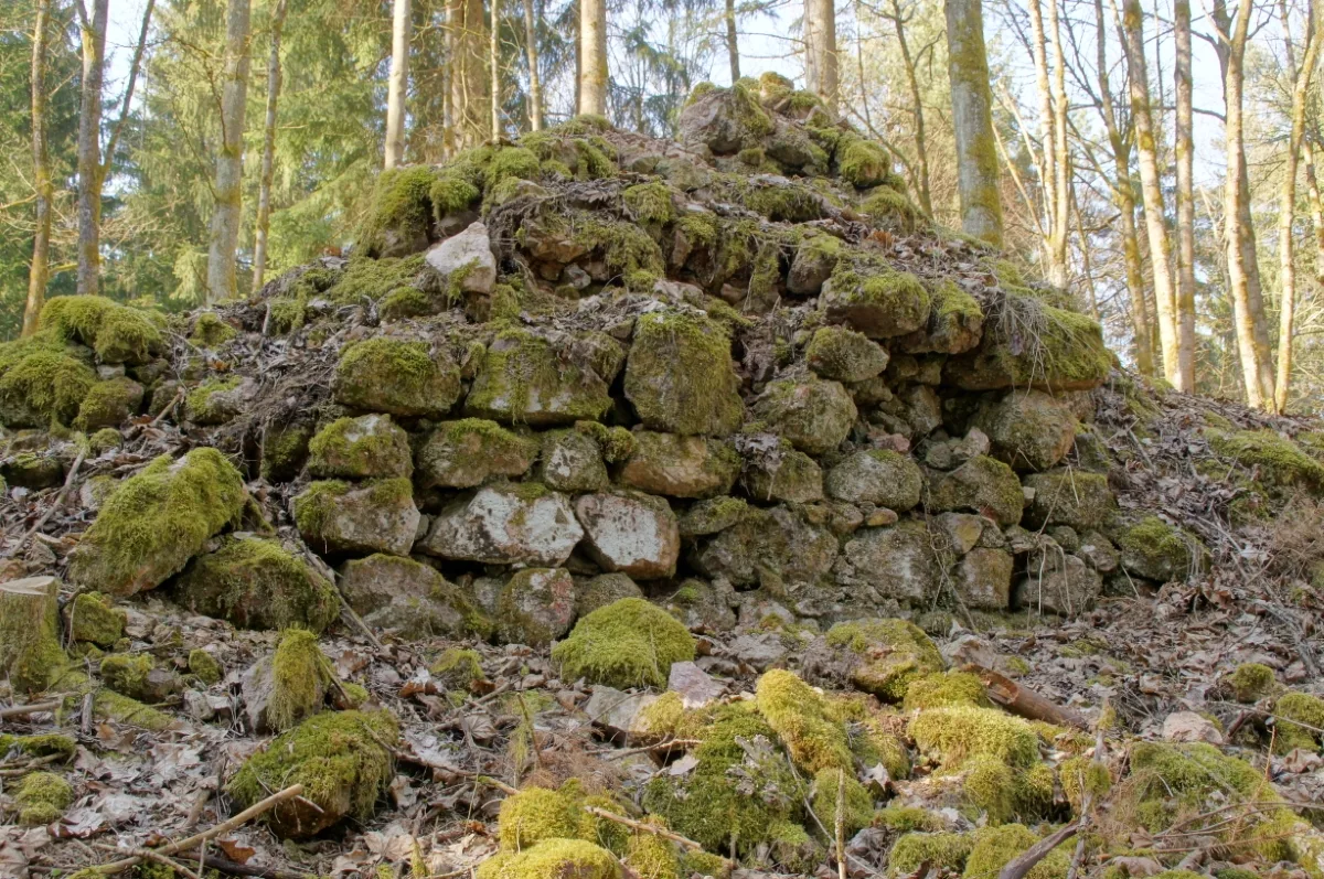 Ruine Schellerlhof: Mauerrest Nordseite