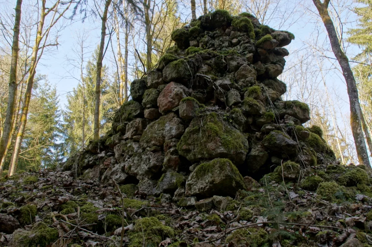 Ruine Schellerlhof: Mauerrest Nordostecke
