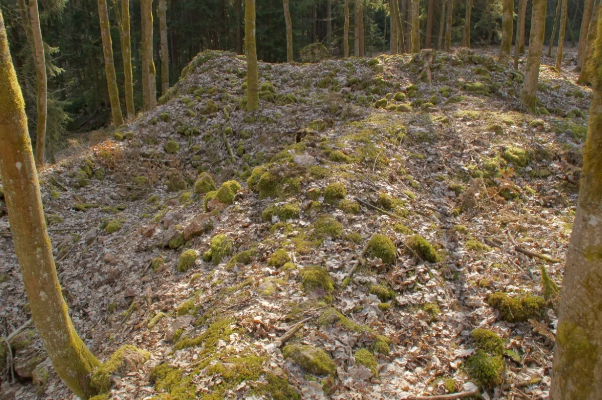 Ruine Schellerlhof: Gräben, Wälle und Fundamentreste