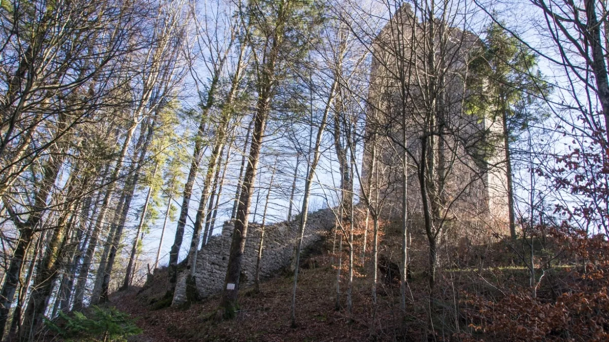 Zirmgrat Wanderung: Zugang Burg Vilseck