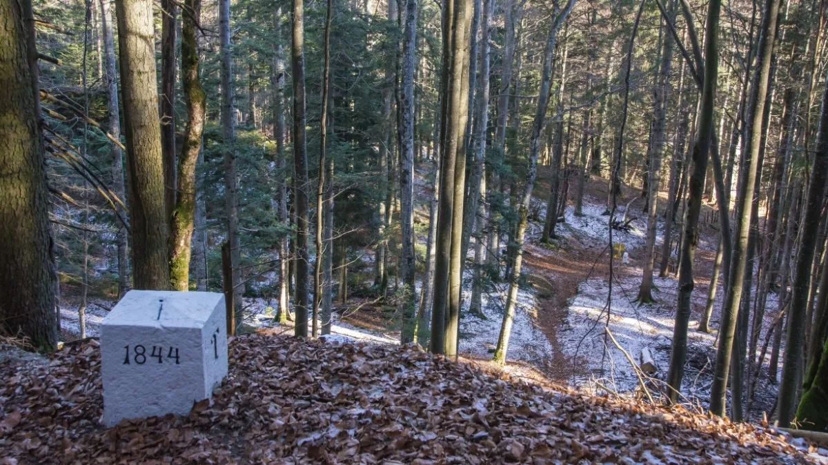 Zirmgrat Wanderung: Grenzstein Bayern Tirol im Wald