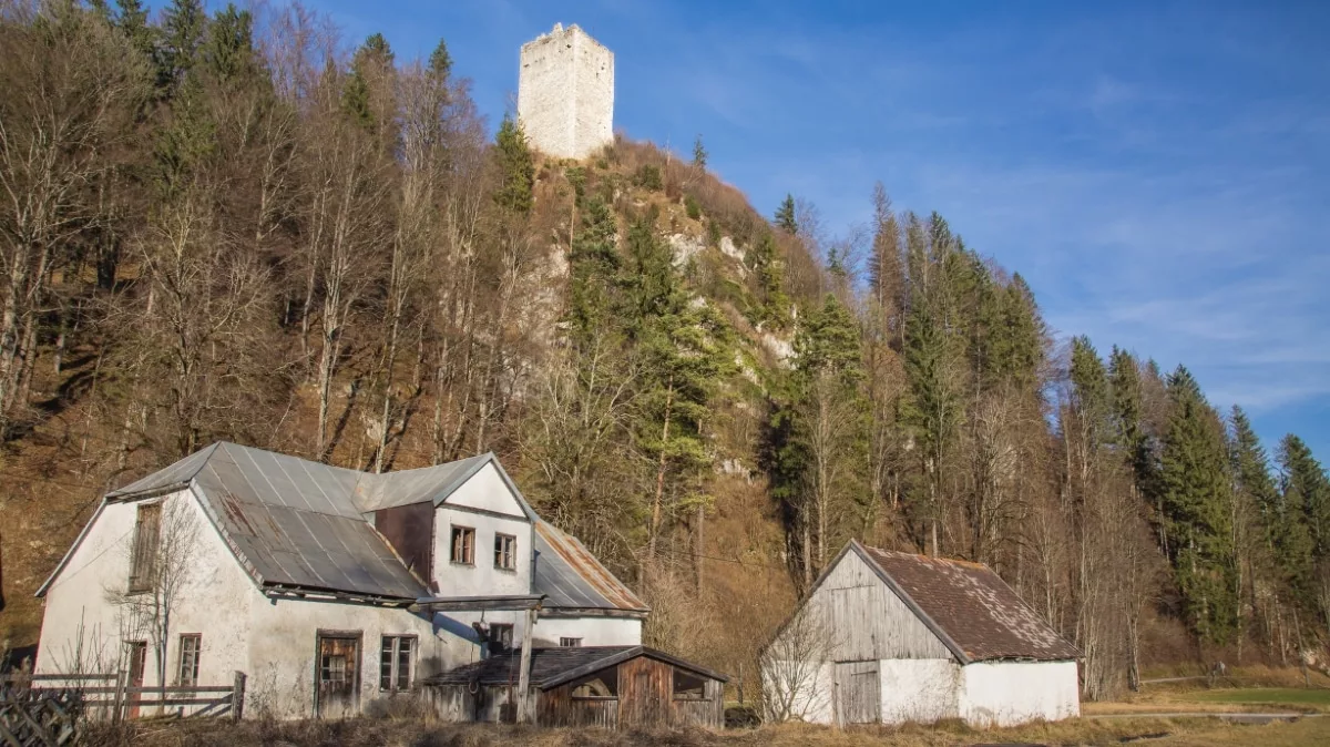 Zirmgrat Wanderung: Blick auf Gehöft und darüber Burg Vilseck
