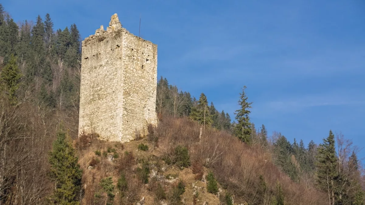 Zirmgrat Wanderung: Bergfried Burg Vilseck