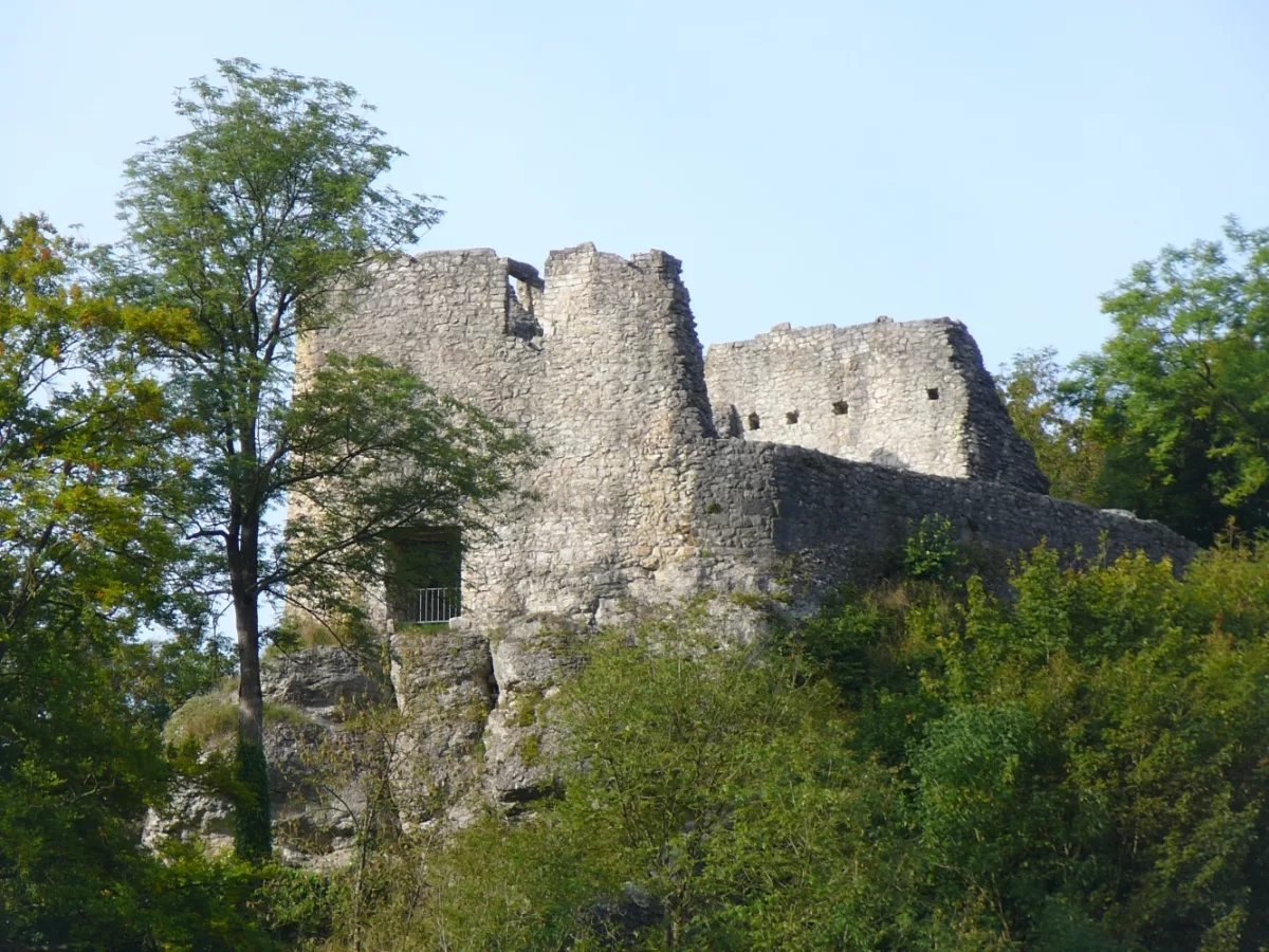 Burg Bichishausen: Ostansicht der Kernburg mit Torbau vorne und Schildmauer dahinter