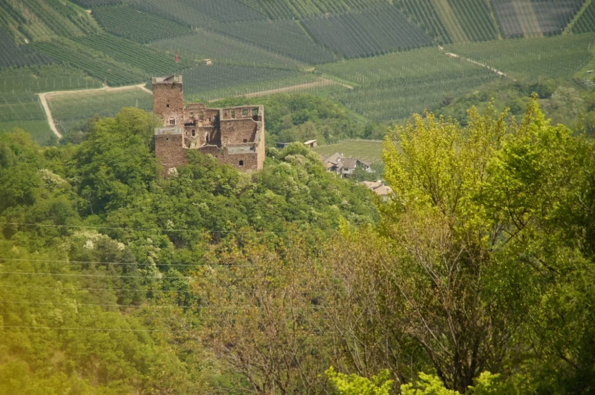Burg Boymont: Ansicht von Westen auf dem Eppaner Höhenweg