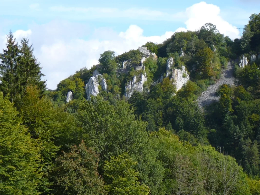 Burg Hohengundelfingen Südwestansicht