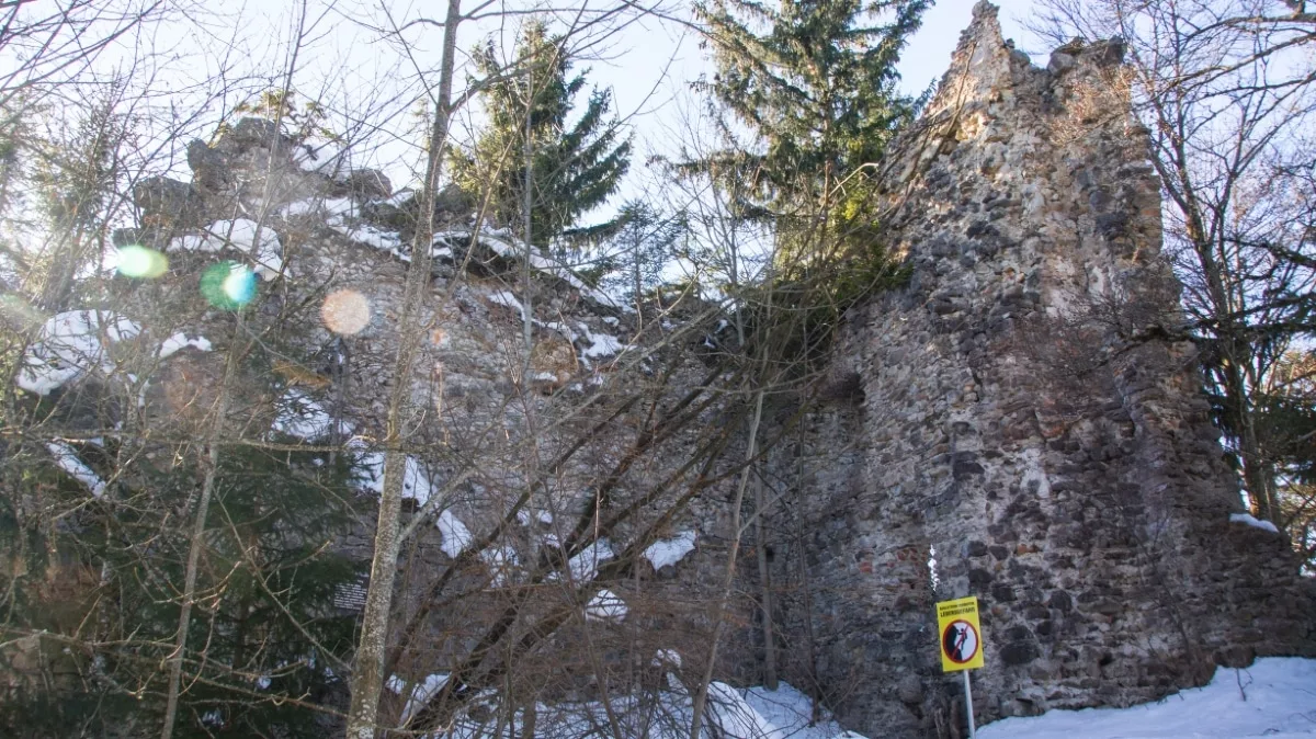 Burg Rettenberg: Reste des Wohnturms - Innenansicht