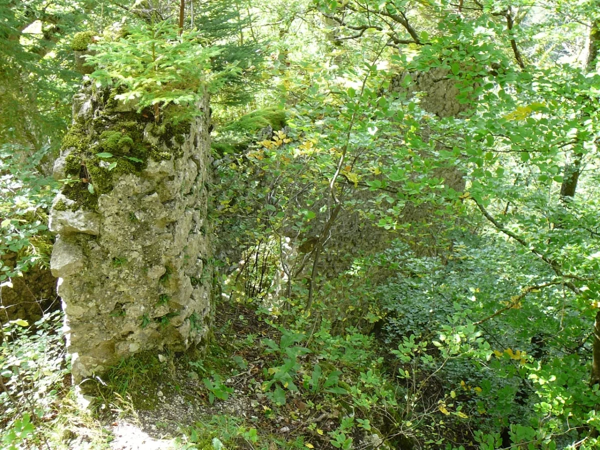 Burg Wartstein: Mauerreste der Vorburg unterhalb der Hauptburg - Westseite
