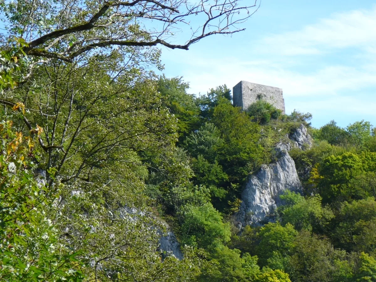 Burg Wartstein: Schildmauer Innenseite - Westseite