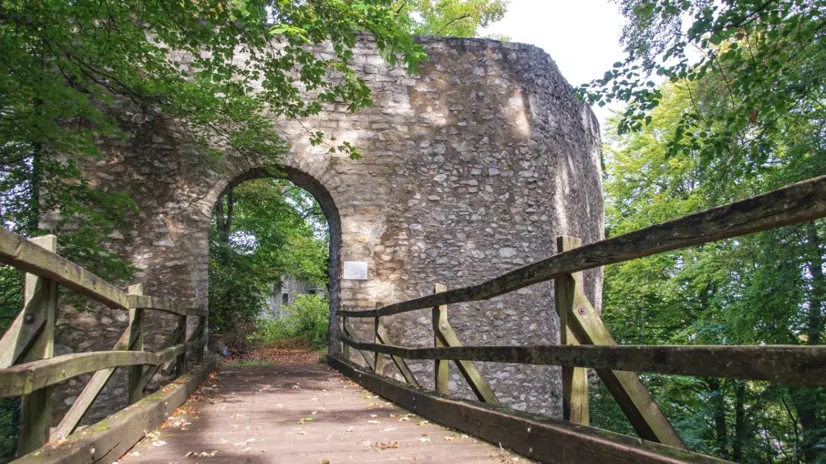 Untere Diepoldsburg: Zugang zur Burgruine über eine Holzbrücke und dem Burgtor