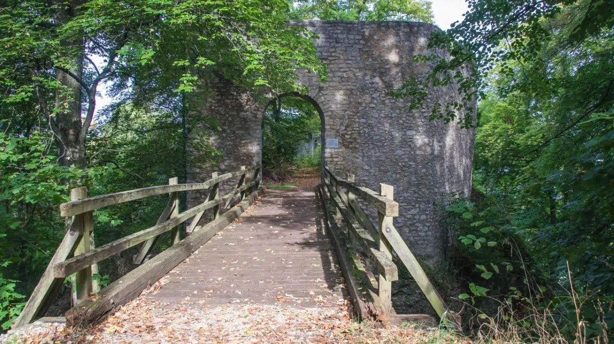 Untere Diepoldsburg: Zugang mit Holzbrücke und Blick in den Halsgraben
